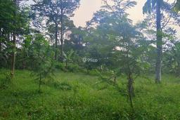 Di jual tanah kebun lokasi dekat dengan pembangunan Pemda Bogor timur cocok buat investasi masa depan Di jual tanah kebun lokasi dekat dengan pembangunan Pemda Bogor timur cocok buat investasi masa depan
