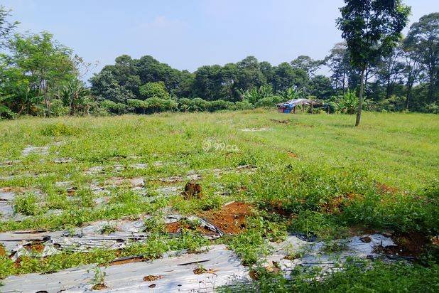 Di jual tanah kebun lokasi dekat dengan pembangunan Pemda Bogor timur cocok buat investasi masa depan Di jual tanah kebun lokasi dekat dengan pembangunan Pemda Bogor timur cocok buat investasi masa depan