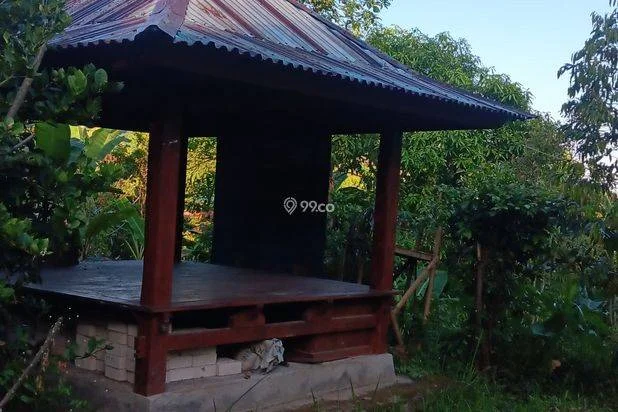 Tanah Murah Dekat Objek Wisata Air Terjun Sekumpul Tanah Murah Dekat Objek Wisata Air Terjun Sekumpul