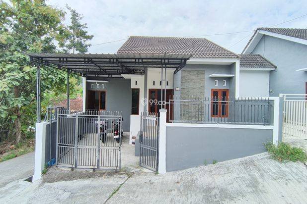 RUMAH LUAS SIAP HUNI, MURAH, STRATEGIS DI BALECATUR GAMPING RUMAH LUAS SIAP HUNI, MURAH, STRATEGIS DI BALECATUR GAMPING