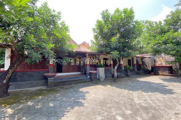 MILIKI RUMAH ETNIK JOGLO DENGAN TANAH SUPER LUAS DEKAT GKJ TULUNG MILIKI RUMAH ETNIK JOGLO DENGAN TANAH SUPER LUAS DEKAT GKJ TULUNG