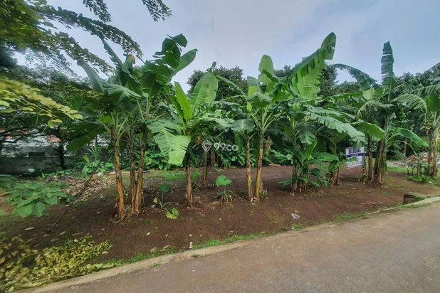 DIJUAL TANAH LUAS LEGALITAS SHM DEKAT DEPOK TOWN SQUARE DIJUAL TANAH LUAS LEGALITAS SHM DEKAT DEPOK TOWN SQUARE
