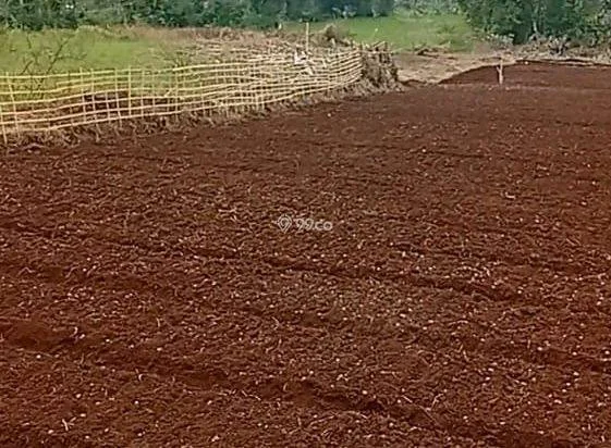 Dijual cepat dan Harga Nego, tanah seluas 5000 m2 di Madur, Kab. Bandung Dijual cepat dan Harga Nego, tanah seluas 5000 m2 di Madur, Kab. Bandung