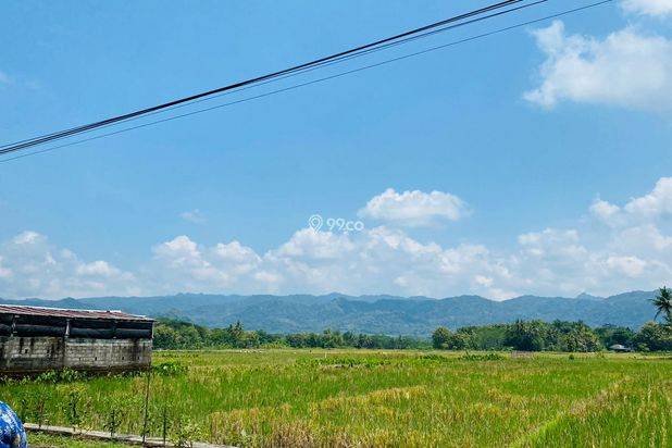 TANAH DI JUAL : MINGGIR SLEMAN VIEW BUKIT MENOREH & SUNGAI (SHM) TANAH DI JUAL : MINGGIR SLEMAN VIEW BUKIT MENOREH & SUNGAI (SHM)