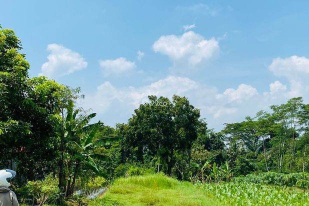TANAH DI JUAL : MINGGIR SLEMAN VIEW BUKIT MENOREH & SUNGAI (SHM) TANAH DI JUAL : MINGGIR SLEMAN VIEW BUKIT MENOREH & SUNGAI (SHM)