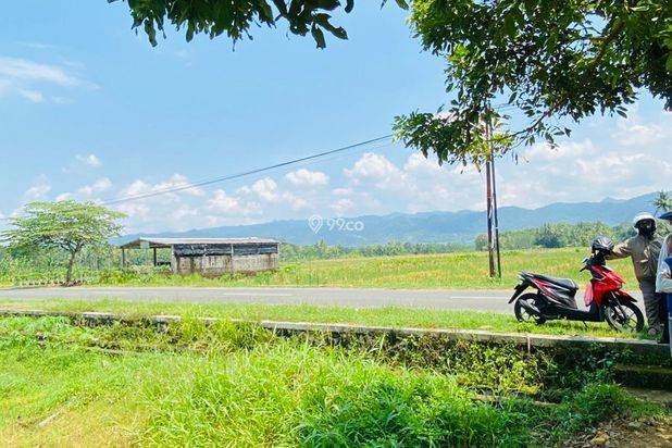 TANAH DI JUAL : MINGGIR SLEMAN VIEW BUKIT MENOREH & SUNGAI (SHM) TANAH DI JUAL : MINGGIR SLEMAN VIEW BUKIT MENOREH & SUNGAI (SHM)