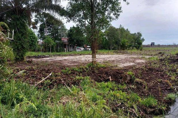 Dijual Tanah Strategis Palangkaraya Dijual Tanah Strategis Palangkaraya