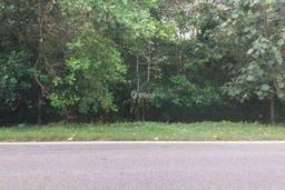 Dijual Tanah Jalan Tjilik Riwut Palangkaraya Dijual Tanah Jalan Tjilik Riwut Palangkaraya