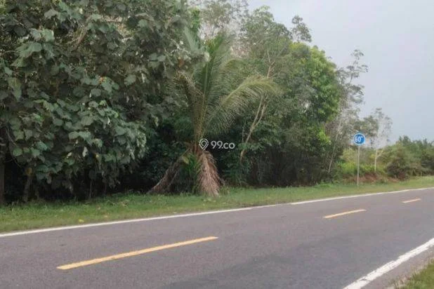 Dijual Tanah,Jalan Tjilik Riwut, Bukit Batu,kota Palangkaraya Kalimantan Tengah di Bukit Batu, Palangka Raya, Kalimantan Tengah Dijual Tanah,Jalan Tjilik Riwut, Bukit Batu,kota Palangkaraya Kalimantan Tengah di Bukit Batu, Palangka Raya, Kalimantan Tengah