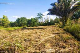 Dijual Tanah strategis kota palangkaraya Dijual Tanah strategis kota palangkaraya