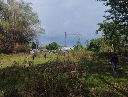 Jual Cepat BU: Tanah Murah di Sukorejo Pasuruan Plot Kuning Jual Cepat BU: Tanah Murah di Sukorejo Pasuruan Plot Kuning