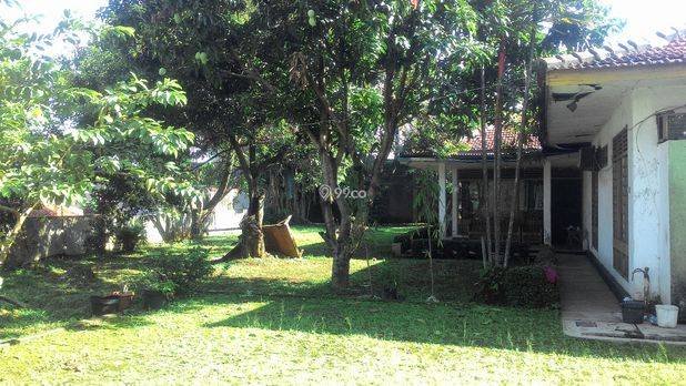 Tanah Kebon Pedes Cocok Untuk Tempat Tinggal Usaha atau Kosan Tanah Kebon Pedes Cocok Untuk Tempat Tinggal Usaha atau Kosan