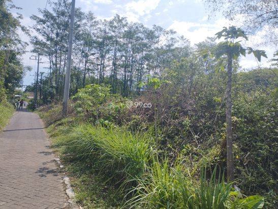 Jual Cepat BU: Tanah Murah di Sukorejo Pasuruan Plot Kuning Jual Cepat BU: Tanah Murah di Sukorejo Pasuruan Plot Kuning