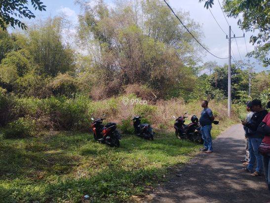 Jual Cepat BU: Tanah Murah di Sukorejo Pasuruan Plot Kuning Jual Cepat BU: Tanah Murah di Sukorejo Pasuruan Plot Kuning