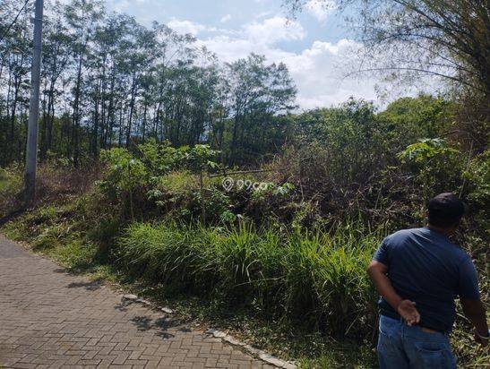 Jual Cepat BU: Tanah Murah di Sukorejo Pasuruan Plot Kuning Jual Cepat BU: Tanah Murah di Sukorejo Pasuruan Plot Kuning