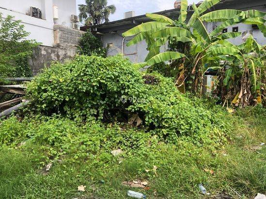 Leasehold Land for Sale in Batu Bolong Tourism Zone Just 1 Minute to the Beach with 25 Year Rental Period CL048 Leasehold Land for Sale in Batu Bolong Tourism Zone Just 1 Minute to the Beach with 25 Year Rental Period CL048