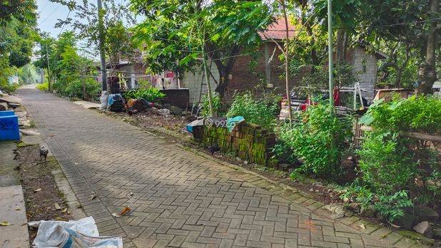 JUAL TANAH PEKARANGAN/KEBUN MURAH 275K/ m2 JUAL TANAH PEKARANGAN/KEBUN MURAH 275K/ m2