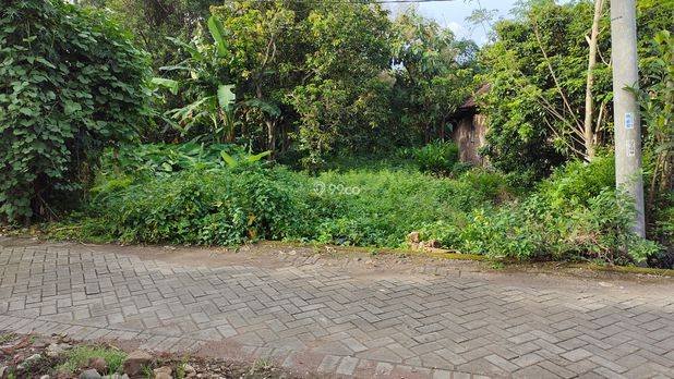 JUAL TANAH PEKARANGAN/KEBUN MURAH 275K/ m2 JUAL TANAH PEKARANGAN/KEBUN MURAH 275K/ m2