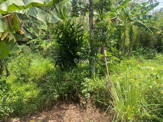 Dijual Tanah di Jalan Nasional Semarang-Magelang di Pringsurat Temanggung, Luas Tanah 343m², Siap Bangun, dekat calon Exit Tol Pringsurat Dijual Tanah di Jalan Nasional Semarang-Magelang di Pringsurat Temanggung, Luas Tanah 343m², Siap Bangun, dekat calon Exit Tol Pringsurat
