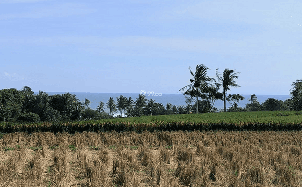 Disewakan Tanah Dekat Pantai Kelecung, Bali Disewakan Tanah Dekat Pantai Kelecung, Bali