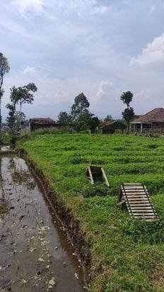 Dijual Cepat Tanah Strategis 36 Tumbak di Cibunar Garut - View Gunung Dijual Cepat Tanah Strategis 36 Tumbak di Cibunar Garut - View Gunung
