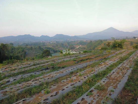Tanah di Lembang Bandung Dijual, Luas Tanah 644m², Bisa Nego Tanah di Lembang Bandung Dijual, Luas Tanah 644m², Bisa Nego