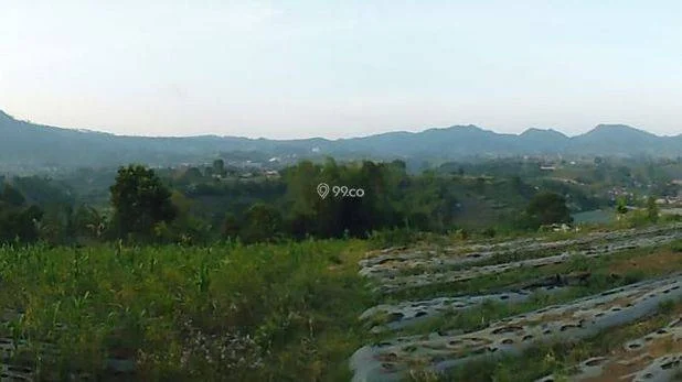 Tanah di Lembang Bandung Dijual, Luas Tanah 644m², Bisa Nego Tanah di Lembang Bandung Dijual, Luas Tanah 644m², Bisa Nego