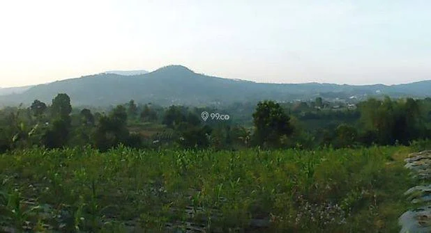 Tanah di Lembang Bandung Dijual, Luas Tanah 644m², Bisa Nego Tanah di Lembang Bandung Dijual, Luas Tanah 644m², Bisa Nego