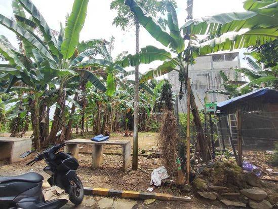 💰 DIJUAL TANAH POTENSI KOST - 272m² BERINGIN NGALIYAN 💰 DIJUAL TANAH POTENSI KOST - 272m² BERINGIN NGALIYAN