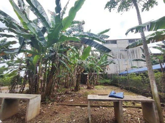 💰 DIJUAL TANAH POTENSI KOST - 272m² BERINGIN NGALIYAN 💰 DIJUAL TANAH POTENSI KOST - 272m² BERINGIN NGALIYAN