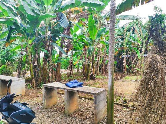 💰 DIJUAL TANAH POTENSI KOST - 272m² BERINGIN NGALIYAN 💰 DIJUAL TANAH POTENSI KOST - 272m² BERINGIN NGALIYAN