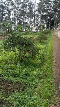Jual Tanah Akses Bagus di Bandung Barat, LT 2085m², Siap Bangun Jual Tanah Akses Bagus di Bandung Barat, LT 2085m², Siap Bangun