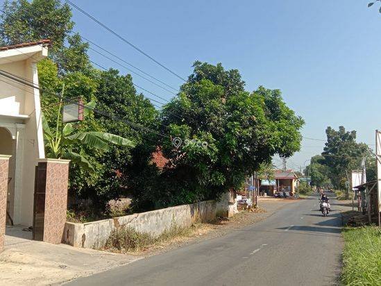Dijual Tanah Pinggir Jalan Raya, Langkap Kedungwuni. Dijual Tanah Pinggir Jalan Raya, Langkap Kedungwuni.