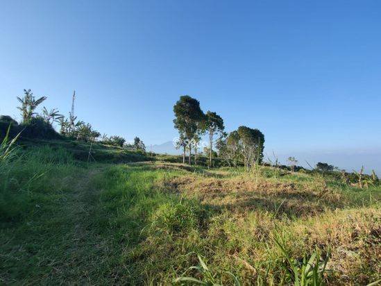 Tanah Luas Super Murah Strategis Dengan View Kota Batu Tanah Luas Super Murah Strategis Dengan View Kota Batu