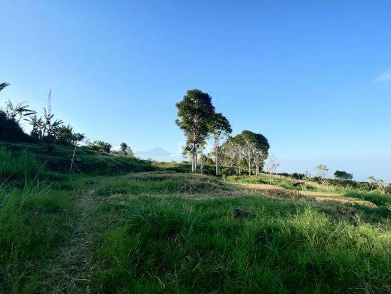 Tanah Luas Super Murah Strategis Dengan View Kota Batu Tanah Luas Super Murah Strategis Dengan View Kota Batu