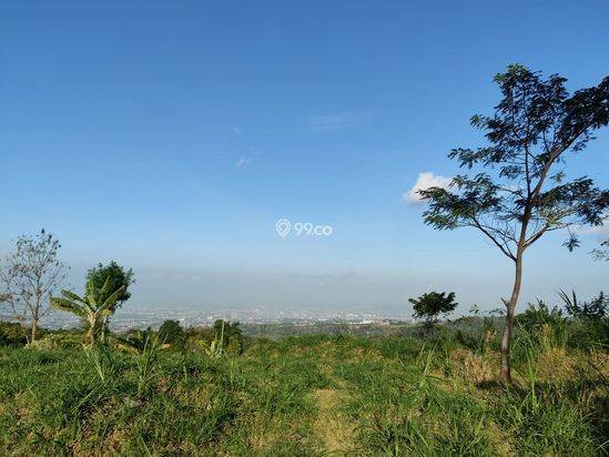 Tanah Luas Super Murah Strategis Dengan View Kota Batu Tanah Luas Super Murah Strategis Dengan View Kota Batu