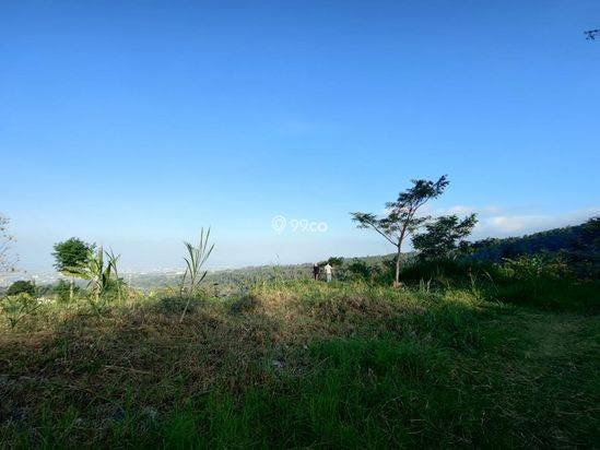 Tanah Luas Super Murah Strategis Dengan View Kota Batu Tanah Luas Super Murah Strategis Dengan View Kota Batu