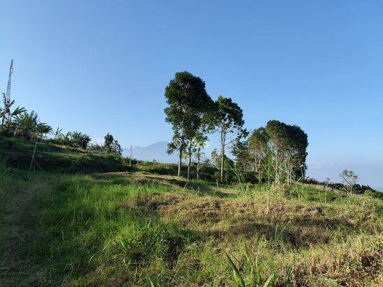 Tanah Luas Super Murah Strategis Dengan View Kota Batu Tanah Luas Super Murah Strategis Dengan View Kota Batu