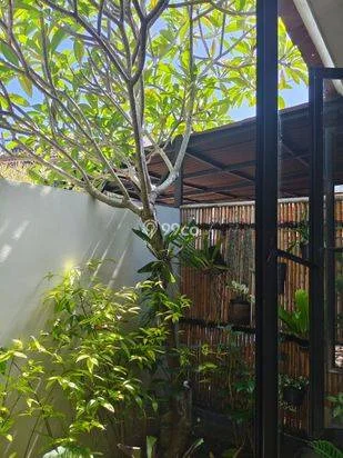 2-BR Homy Semi Villa House Near Canggu 2-BR Homy Semi Villa House Near Canggu