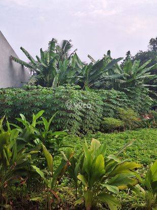 Dijual Kavling Villa Melati Mas Serpong Tangerang Dijual Kavling Villa Melati Mas Serpong Tangerang