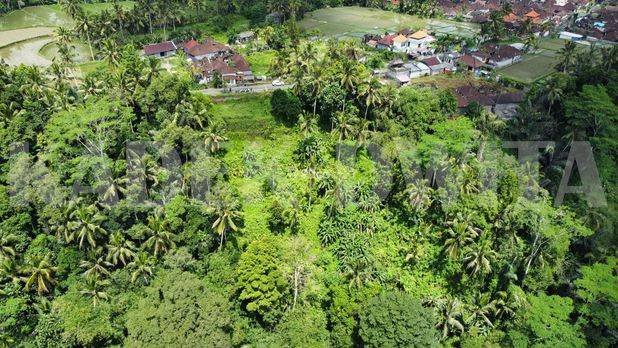 Tanah murah los sungai view lembah kenderan ubud dkt the kayon resort Tanah murah los sungai view lembah kenderan ubud dkt the kayon resort