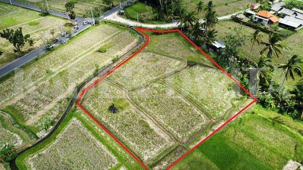 Tanah Murah anggungan penarungan lukluk mengwi Tanah Murah anggungan penarungan lukluk mengwi