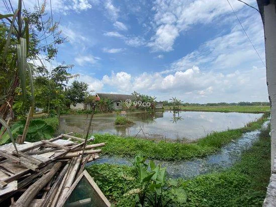 Dijual tanah luas dengan potensi investasi tinggi! Cocok untuk dibangun hunian pribadi yang asri, gudang, atau kavling perumahan. Dijual tanah luas dengan potensi investasi tinggi! Cocok untuk dibangun hunian pribadi yang asri, gudang, atau kavling perumahan.
