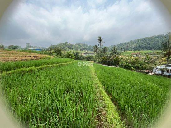 Dijual Tanah 1.400 meter persegi Dijual Tanah 1.400 meter persegi