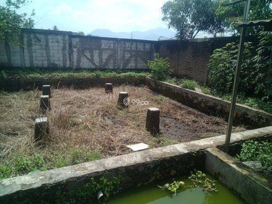 DIJUAL RUMAH 2 LANTAI – CIANJUR KOTA SHM • Siap Huni • Lahan Luas + Kolam Ikan DIJUAL RUMAH 2 LANTAI – CIANJUR KOTA SHM • Siap Huni • Lahan Luas + Kolam Ikan