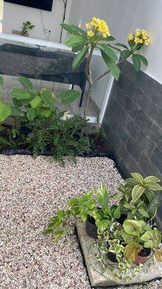 Kontrakan Rumah: Samanea Hill, 2KT, Full Furnished, Parung Panjang Kontrakan Rumah: Samanea Hill, 2KT, Full Furnished, Parung Panjang