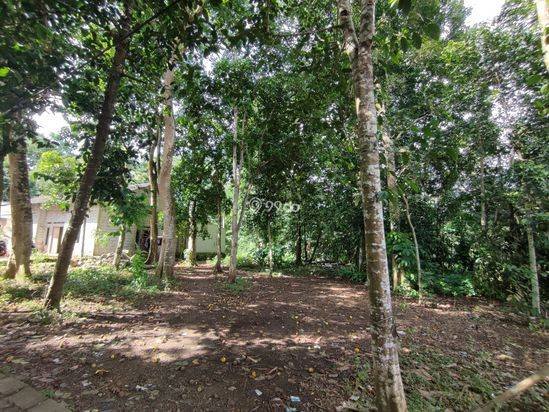 Dijual Tanah Kebun Strategis - Siap Bangun Rumah Dijual Tanah Kebun Strategis - Siap Bangun Rumah