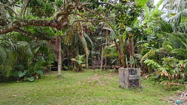 DIJUAL CEPAT – TANAH + RUMAH LUAS ±7 RANTE DIJUAL CEPAT – TANAH + RUMAH LUAS ±7 RANTE