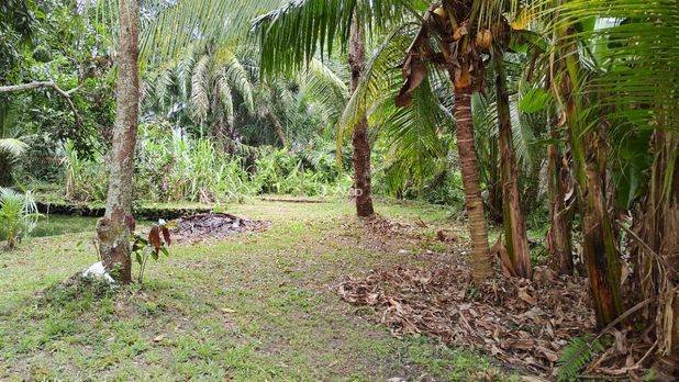 DIJUAL CEPAT – TANAH + RUMAH LUAS ±7 RANTE DIJUAL CEPAT – TANAH + RUMAH LUAS ±7 RANTE