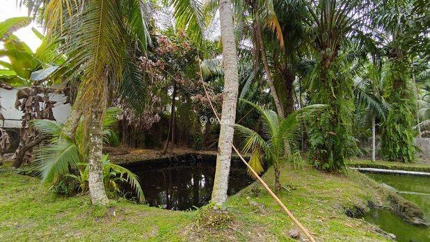 DIJUAL CEPAT – TANAH + RUMAH LUAS ±7 RANTE DIJUAL CEPAT – TANAH + RUMAH LUAS ±7 RANTE